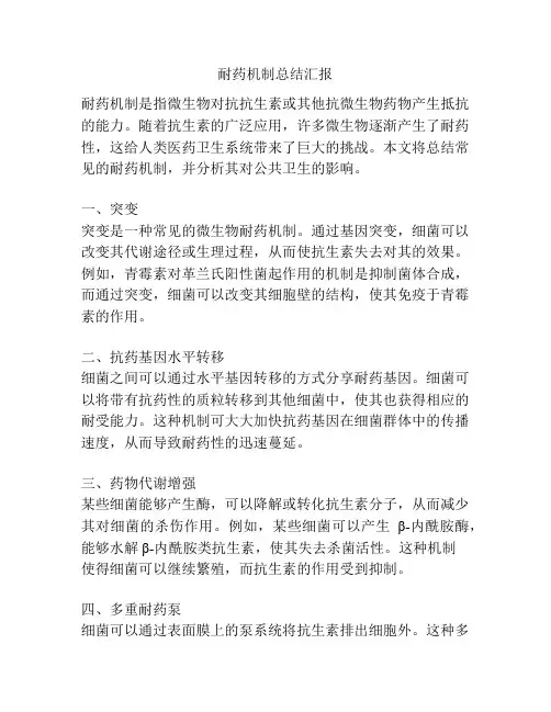 耐药机制总结汇报