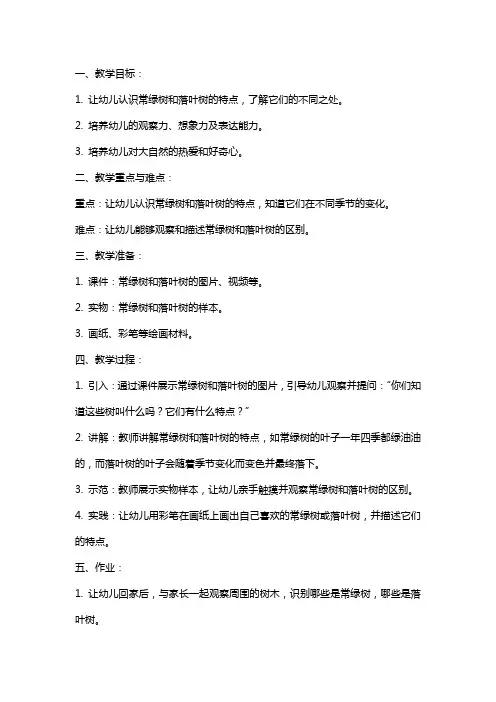 大班科学《常绿树和落叶树》课件教案