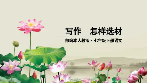 人教版语文七年级下册第四单元写作《怎样选材》优质教学课件 (共20张PPT)