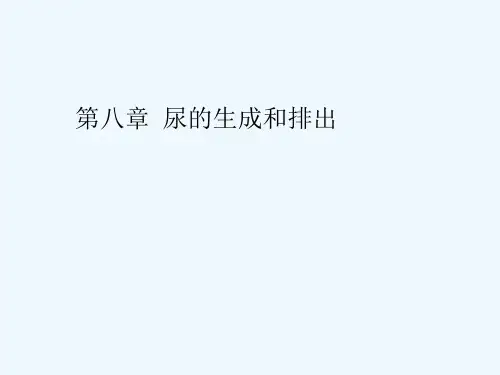 第八章 尿的生成和排出[可修改版ppt]