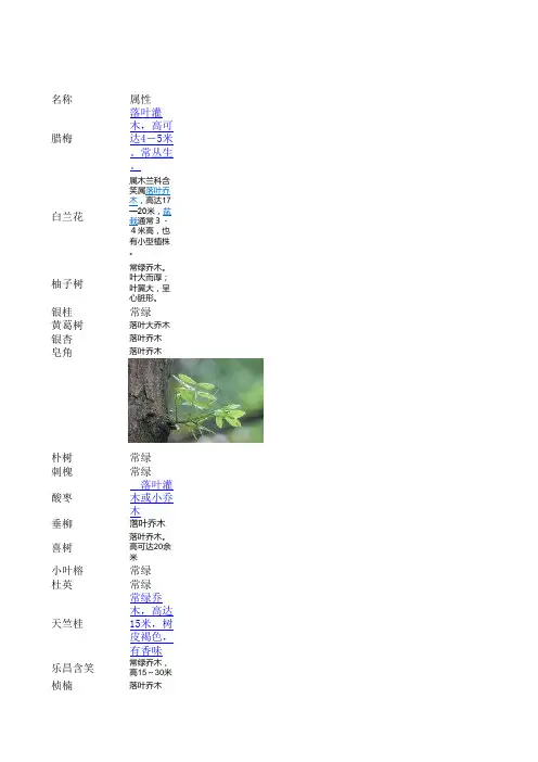 植物属性