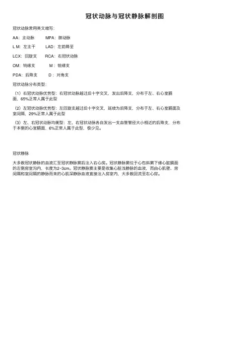 冠状动脉与冠状静脉解剖图