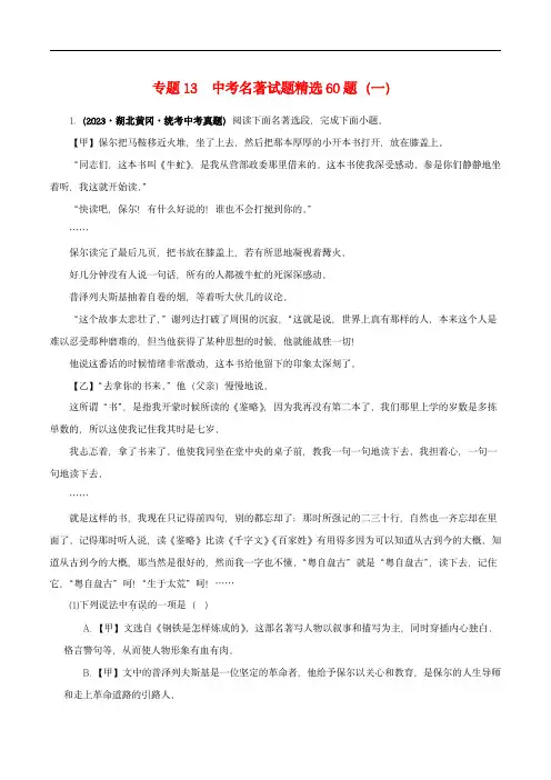 2024年中考语文名著阅读知识(考点)专题13 中考名著试题精选60题(一)(解析版)