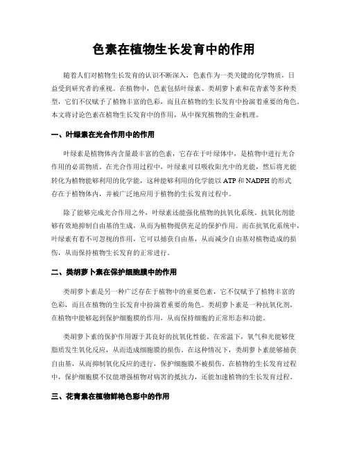 色素在植物生长发育中的作用