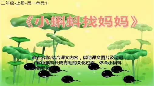新编部编人教版二年级语文上册《小蝌蚪找妈妈》精品课件ppt