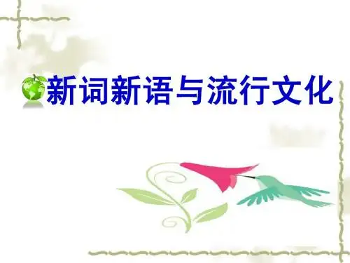 925新词新语与流行文化