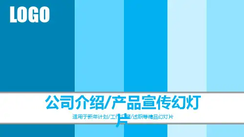 企业介绍产品介绍PPT模板 (10)