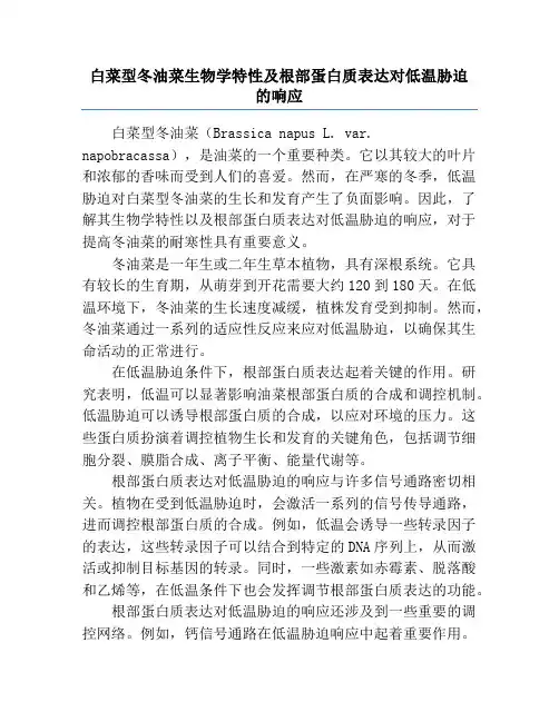 白菜型冬油菜生物学特性及根部蛋白质表达对低温胁迫的响应