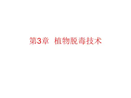 第三章植物脱毒技术