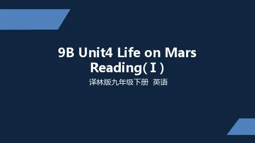 译林版 初中九年级下册 Unit 4 Reading I ppt课件
