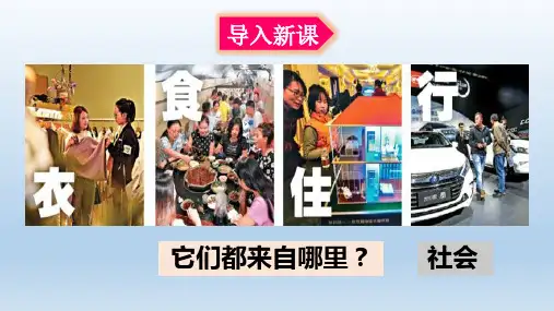 人教版道德与法治八年级上册我与社会