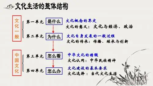 体味文化2018