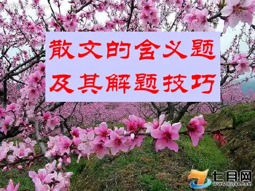 散文的含义题及其答题技巧