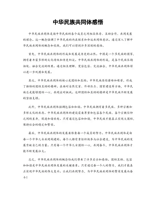 中华民族共同体感悟