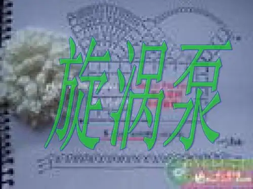 旋涡泵课件