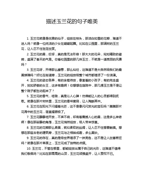 描述玉兰花的句子唯美