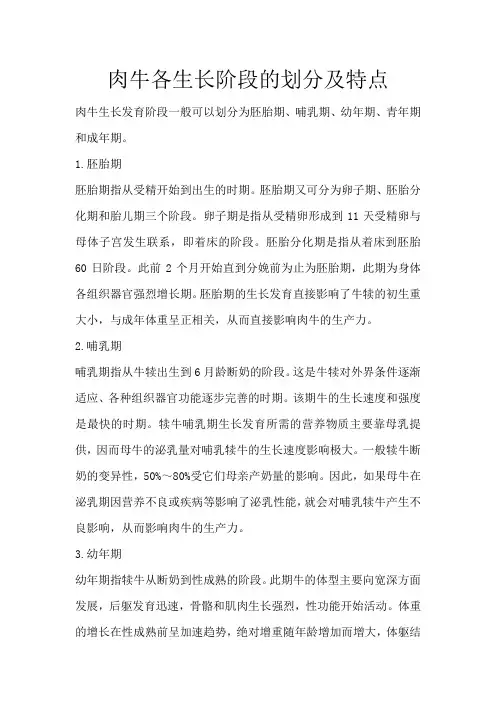 肉牛各生长阶段的划分及特点