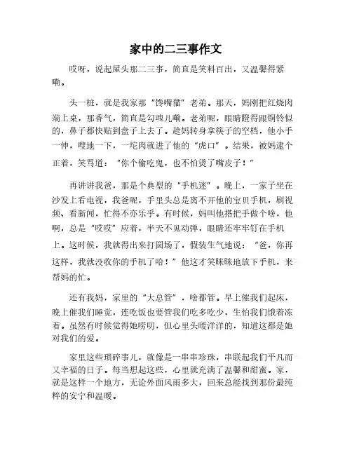 家中的二三事作文