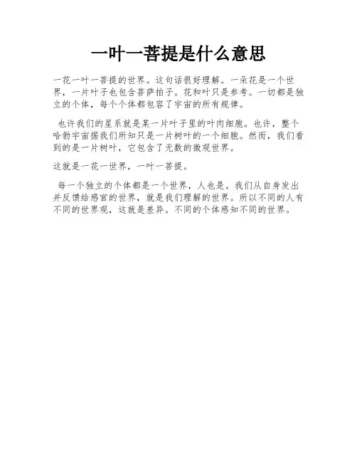一叶一菩提是什么意思