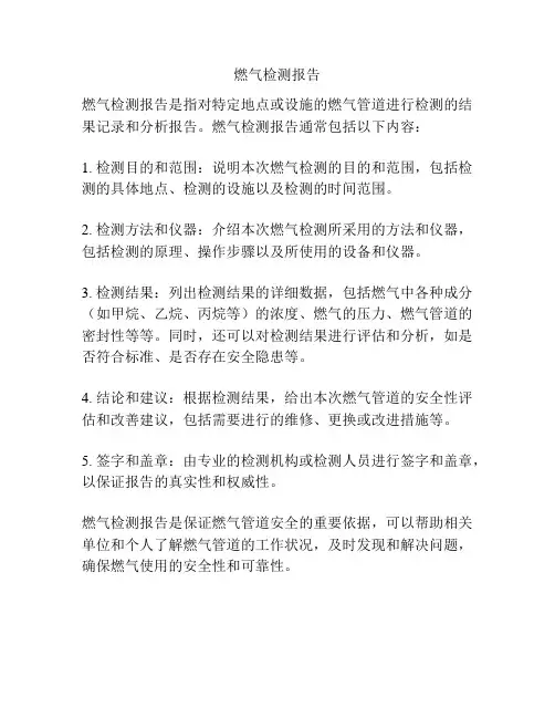 燃气检测报告