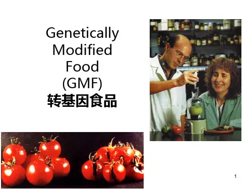 转基因食品ppt课件