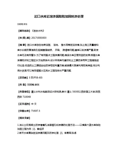 岩口水库岩溶渗漏除险加固防渗处理