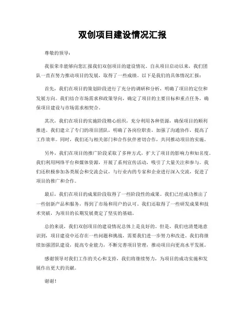 双创项目建设情况汇报