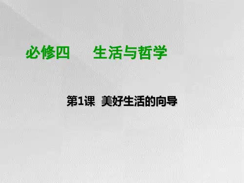 美好生活的向导复习PPT教学课件