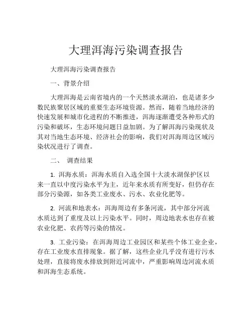 大理洱海污染调查报告