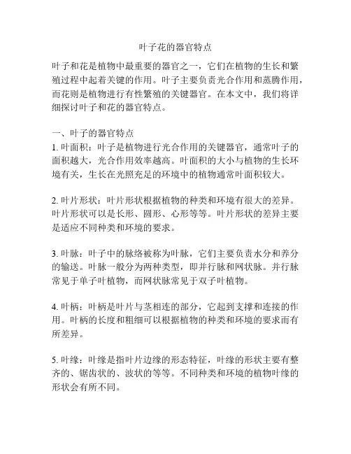 叶子花的器官特点