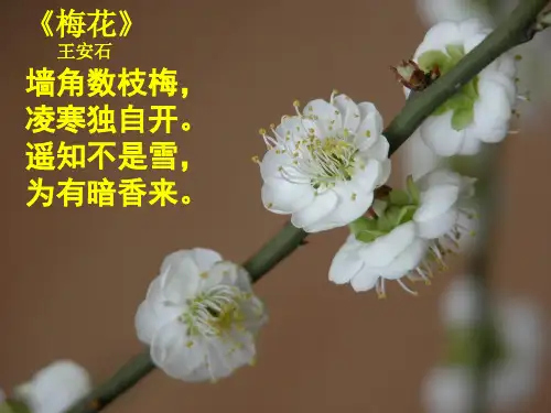 岳麓版高中历史选修一第二单元第6课《北宋王安石变法》课件(22张)(共22张PPT)(优质推荐版)