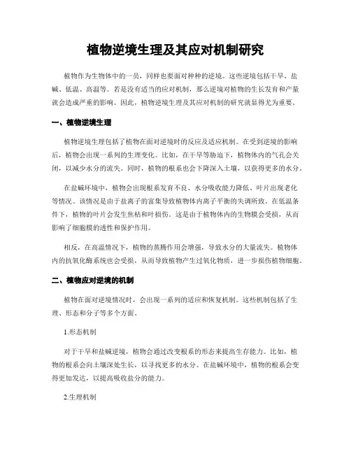 植物逆境生理及其应对机制研究