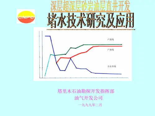 堵水技术总结
