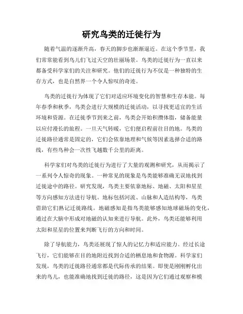 研究鸟类的迁徙行为