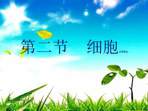 七年级科学上册 4.2《细胞》课件4华东师大华东师大级上册自然科学课件
