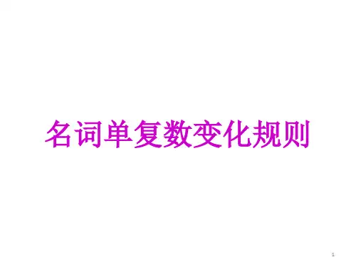 名词单复数变化规则ppt课件