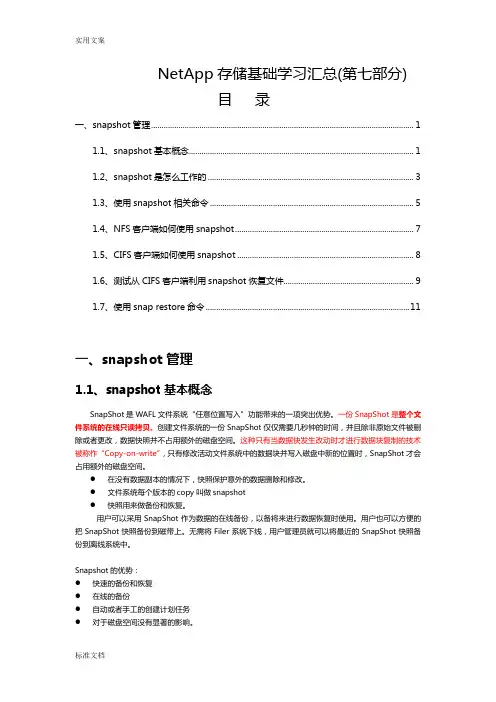 7netapp存储配置练习_snapshot