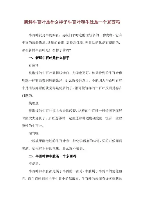 新鲜牛百叶是什么样子 牛百叶和牛肚是一个东西吗