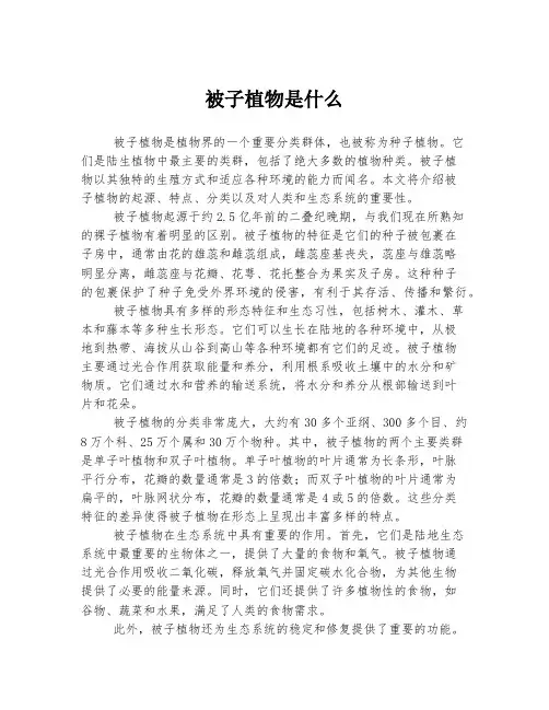 被子植物是什么