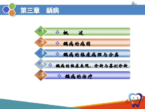 龋病的临床病理与分类(口腔内科学课件)