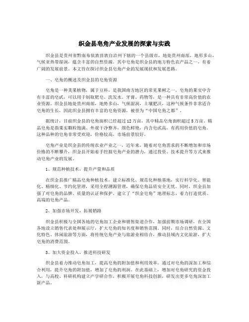 织金县皂角产业发展的探索与实践