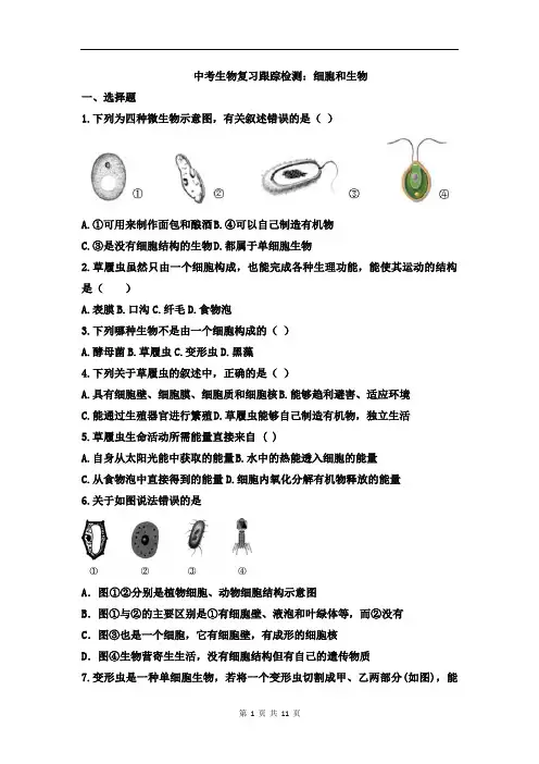 中考生物复习跟踪检测：细胞和生物