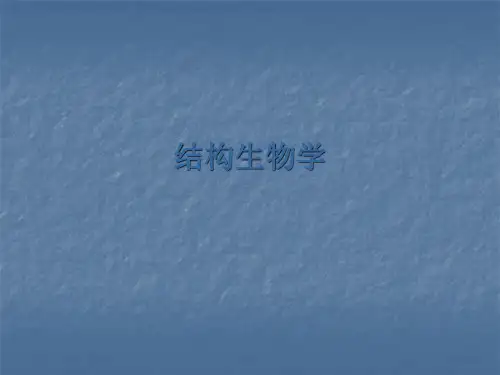 结构生物学介绍和进展PPT课件