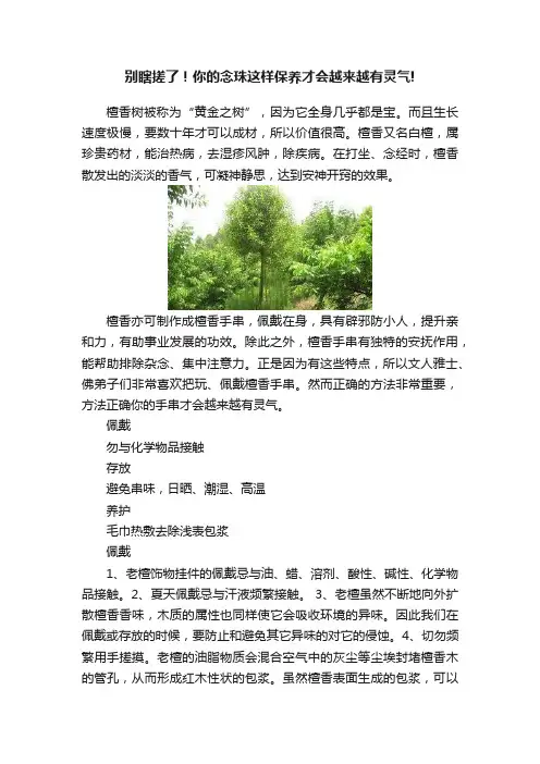 别瞎搓了！你的念珠这样保养才会越来越有灵气!