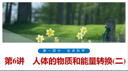 浙江地区中考一轮复习科学ppt人体的物质和能量转换(二)PPT