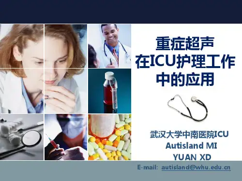 重症B超在ICU护理工作中的应用