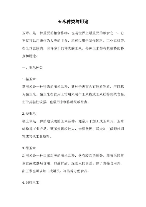 玉米种类与用途