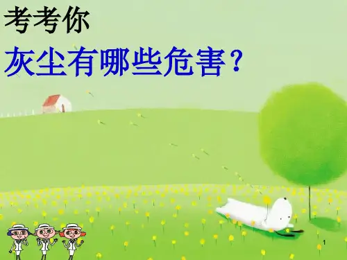 假如没有灰尘ppt课件