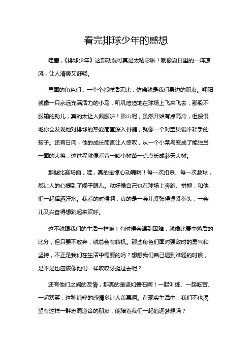 看完排球少年的感想