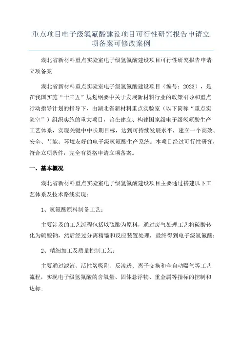 重点项目电子级氢氟酸建设项目可行性研究报告申请立项备案可修改案例